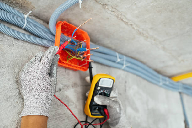 Best Electric Panel Repair  in Pulaski, WI