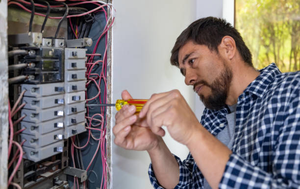 Best Licensed Electrician  in Pulaski, WI